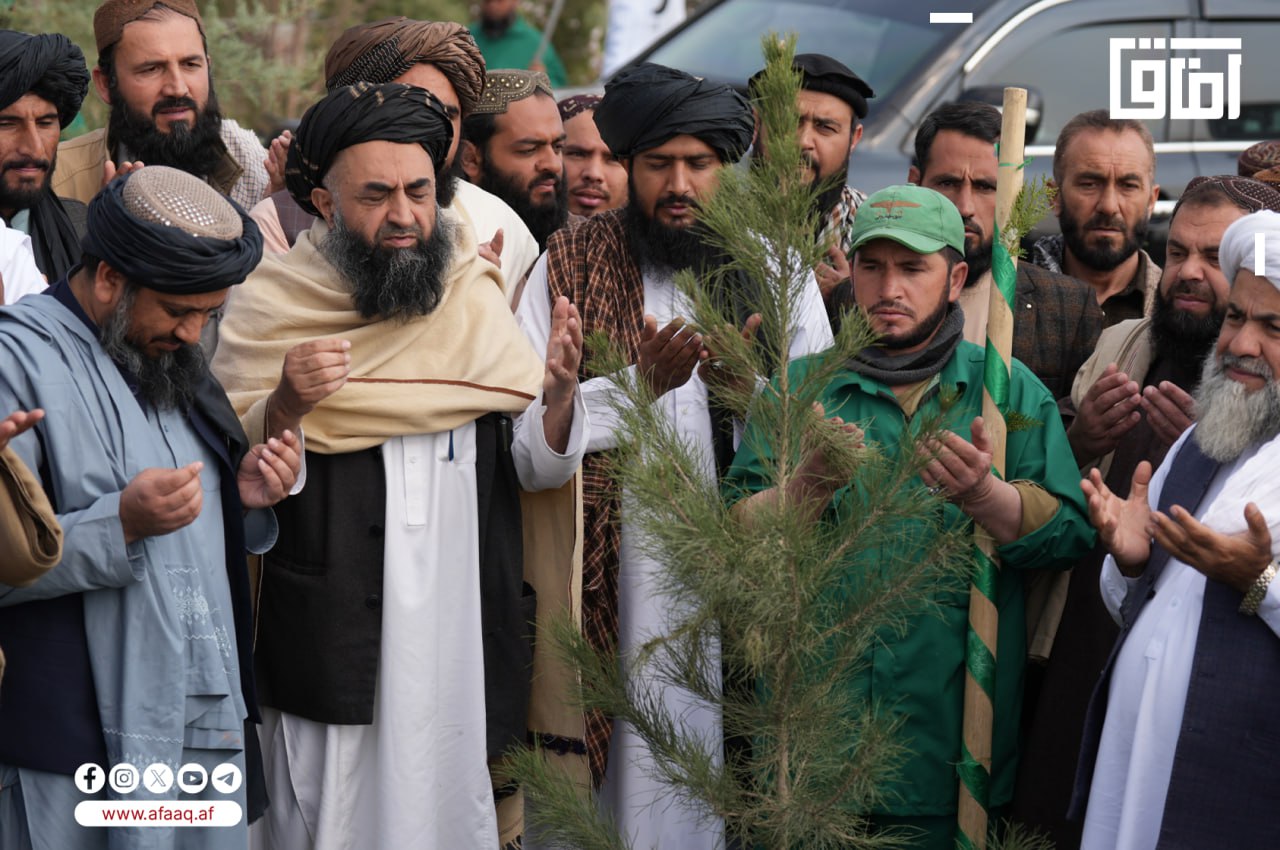 آغاز کمپاین نهالشانی در کابل؛ سرسبزی شهر و بهبود محیط زیست