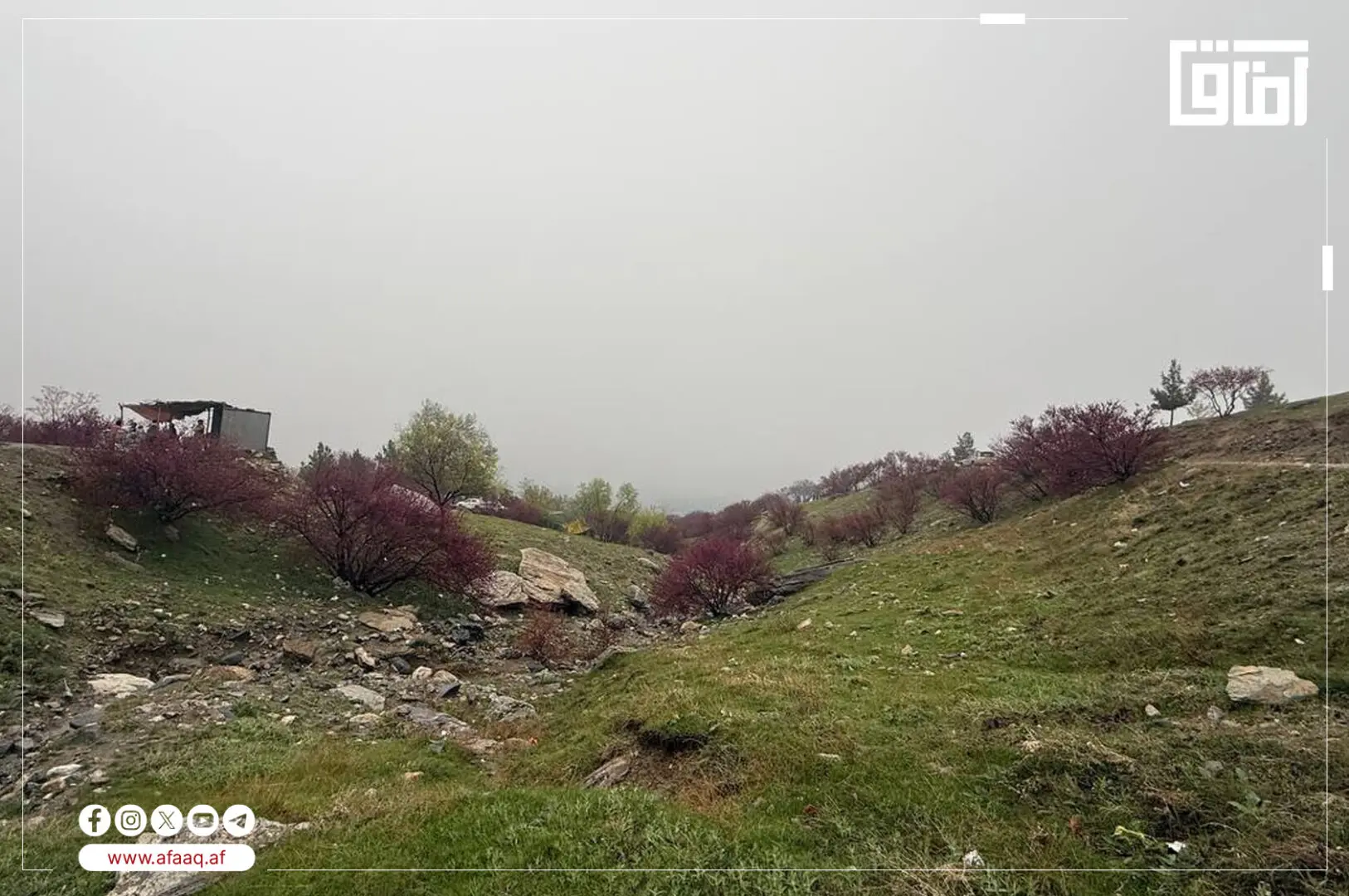 سور پسرلی په ګل غنډۍ کې؛ د افغانستان د ښکلي طبیعت یوه ښکارندویي