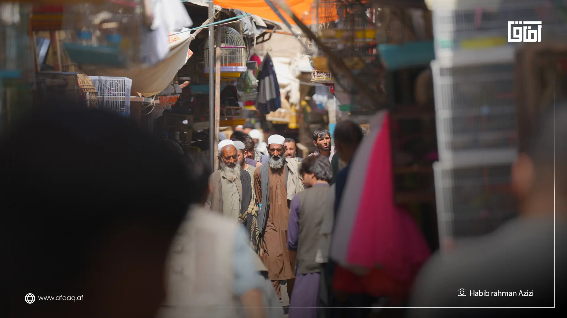 رد پای تاریخ در کوچه کاه فروشی
