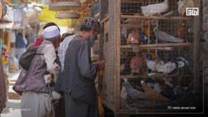 کوچه کاه‌ فروشی کابل؛ روایتی از یکی از کهن‌ترین محله‌های پایتخت