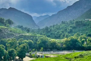 خانه