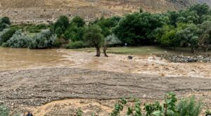 خانه